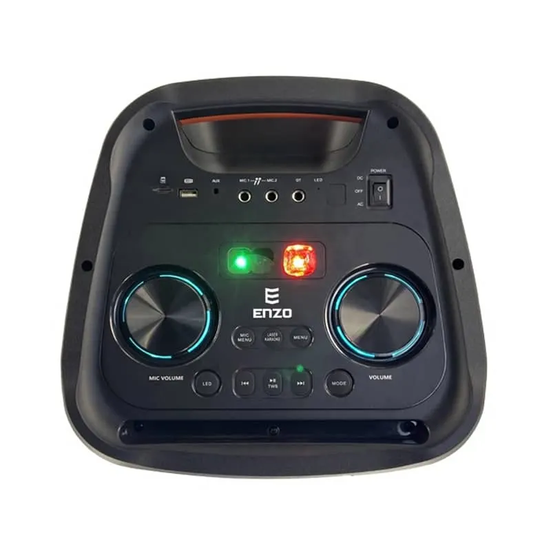 اسپیکر انزو باکس ENZO BOX T-1101 2x10" 100W RMS - تصویر ۴